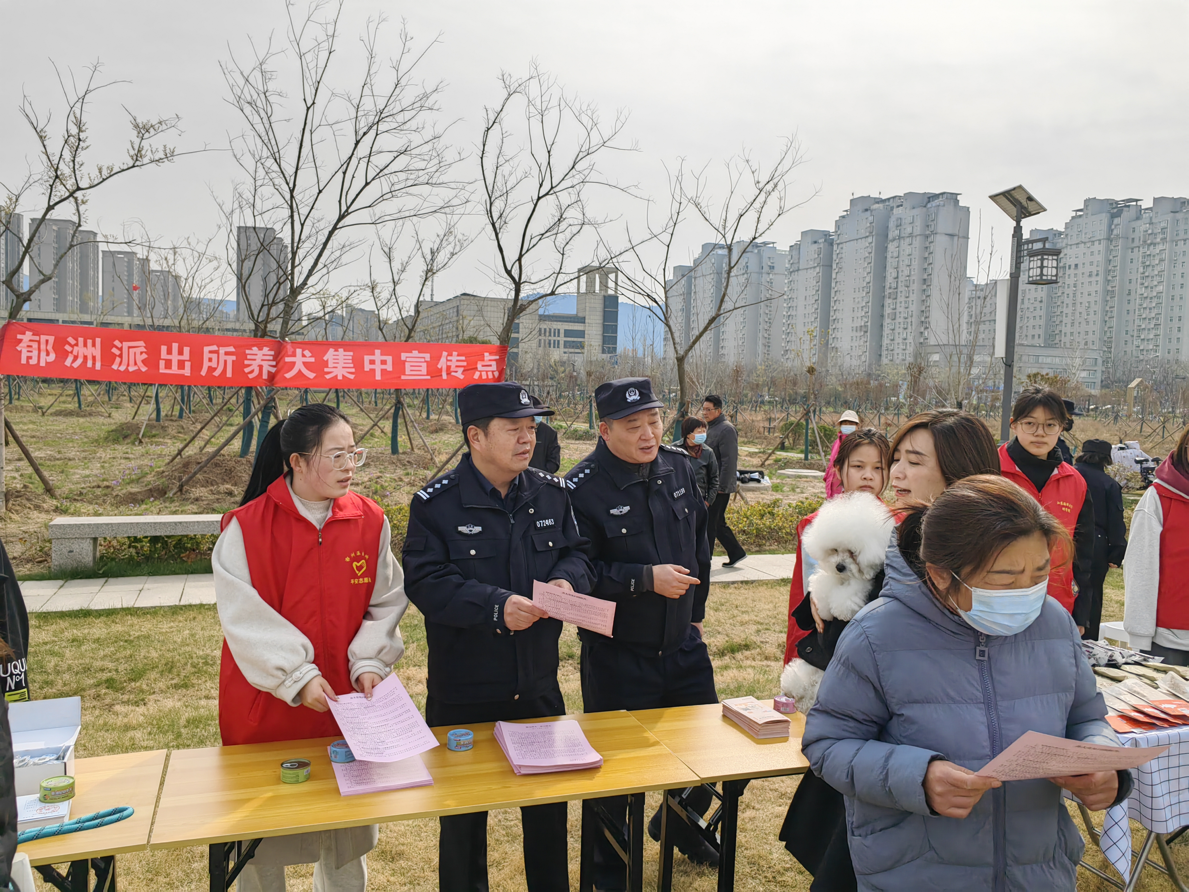 图片3.png